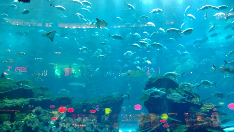 Спасибо Моей снегурочку Юле!!!!