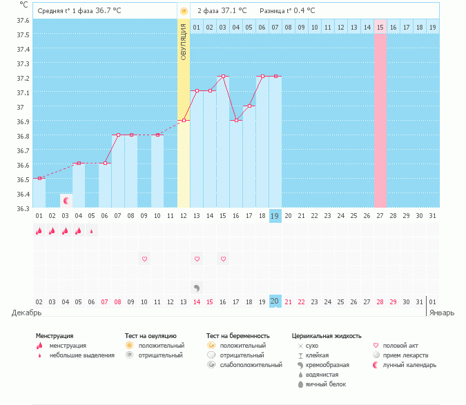 Тест // в подарок на НГ