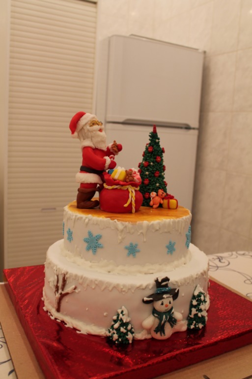 Новогодний 9кг.