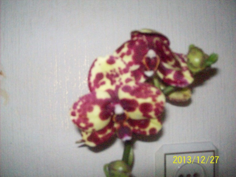 Зашла я сегодня в Ашан......