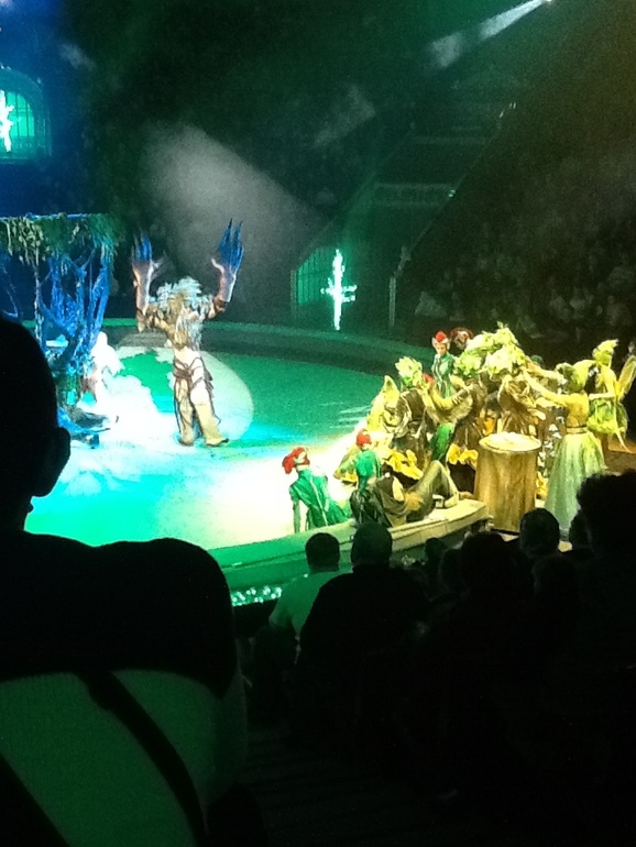 Новогоднее представление