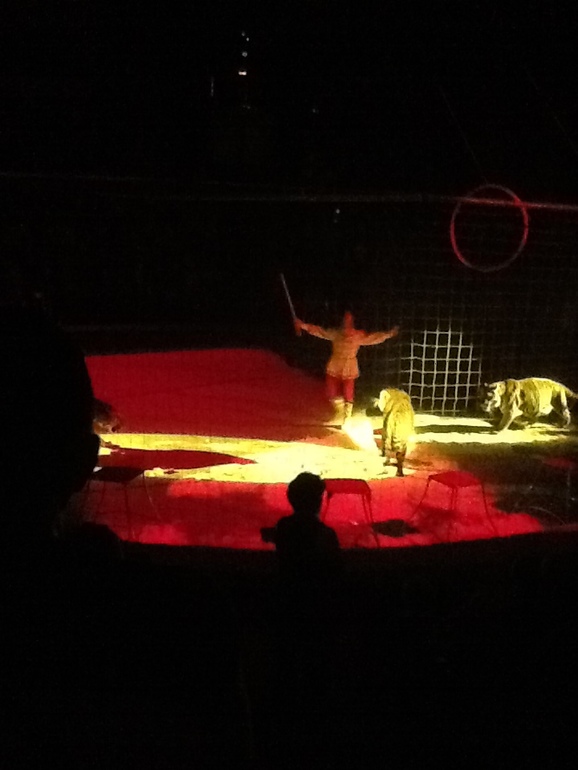 Новогоднее представление