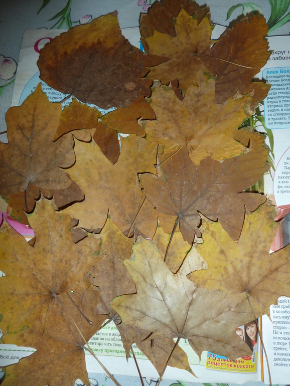 Весна к Новому году