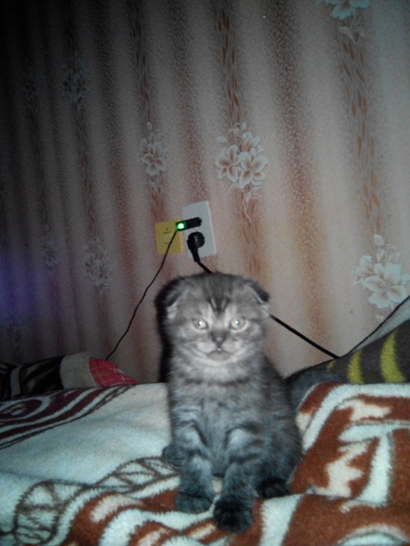 Вот так мы уже выросли)))