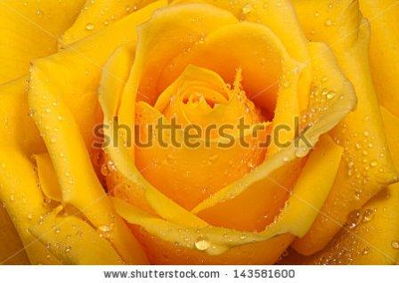 давайте дружить!!!