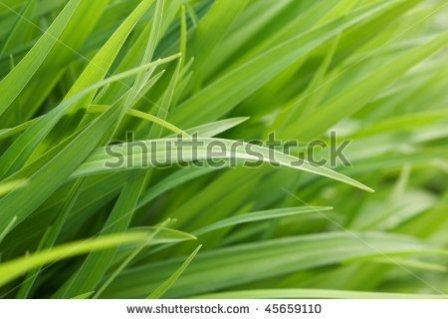 давайте дружить!!!