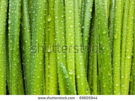 давайте дружить!!!