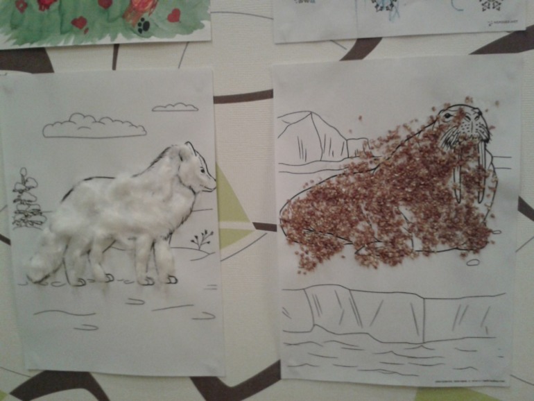 11.12 - Животные Севера.