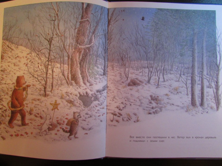 Наши зимние книжечки