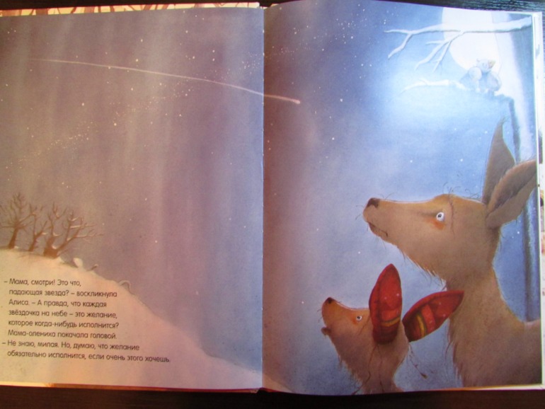 Наши зимние книжечки