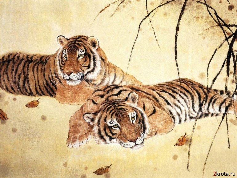 Урок №2 Вырезаем объект