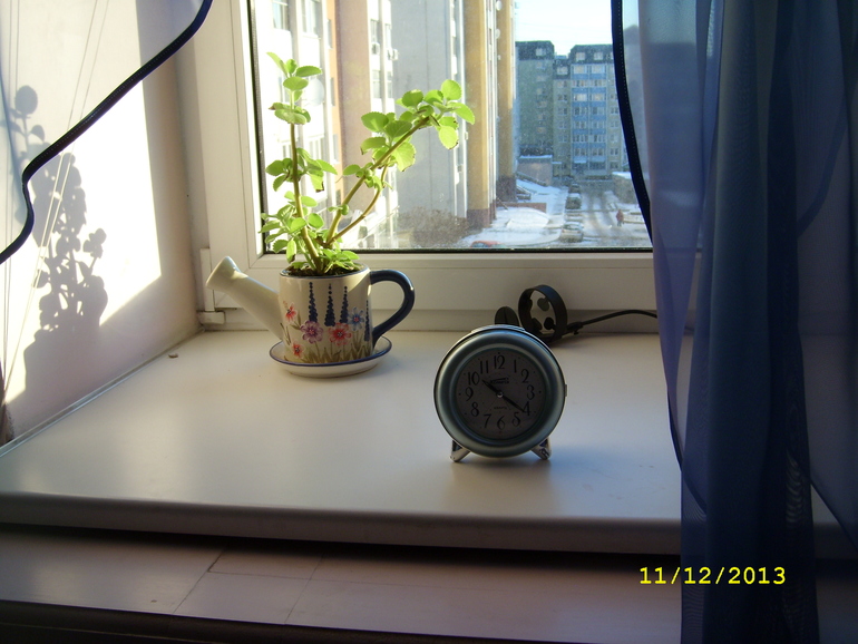 Взлет №68. День 28.(мой день)