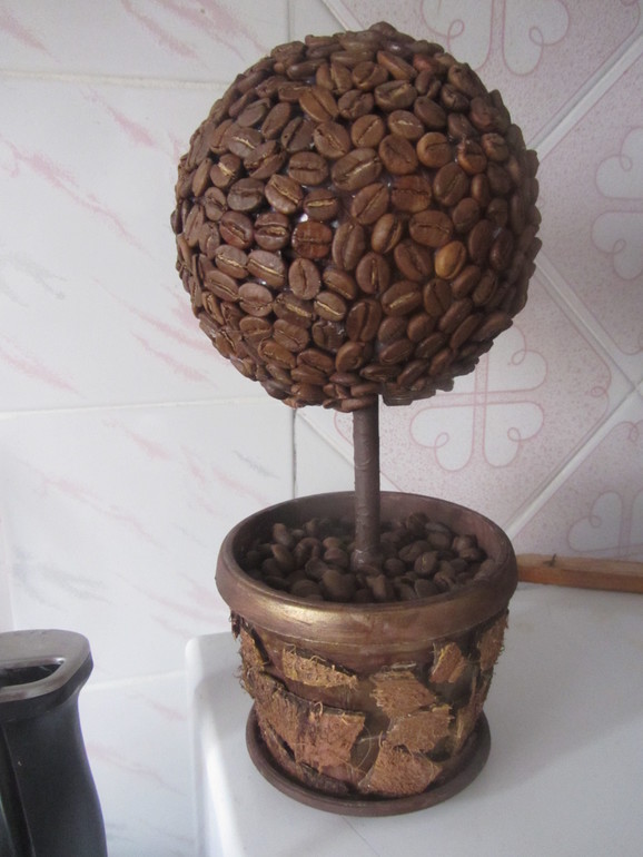 Кофейное деревце
