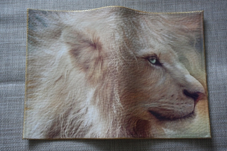 Декупаж на коже в новом году)))