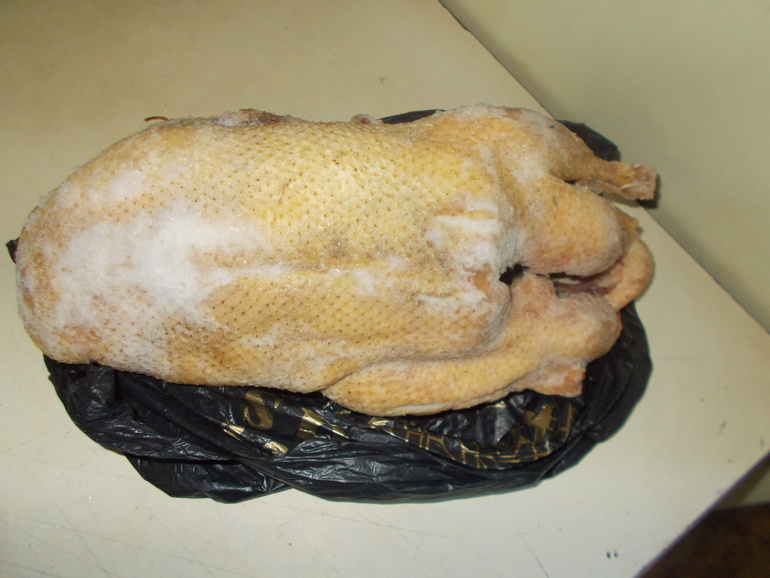 Что за зверь?