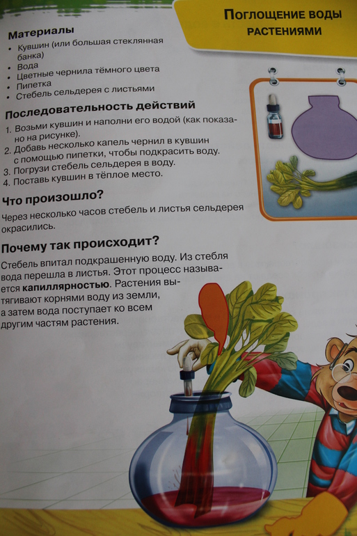 Первые научные опыты. Магнит и Вода