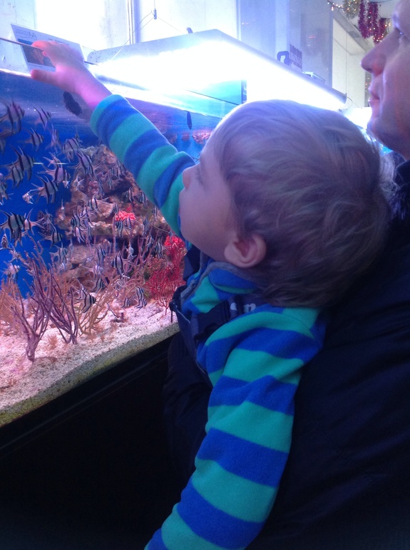 Аквариум-океанариум