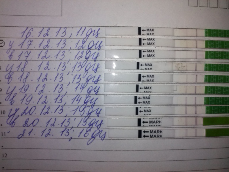 когда была О и когда надо было ПА?