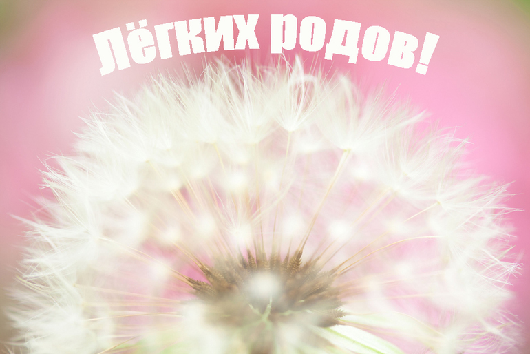 Пожелание легких родов тебе Пожелание легких родов тебе