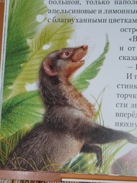 Рикки-Тикки-Тави и другие сказки.