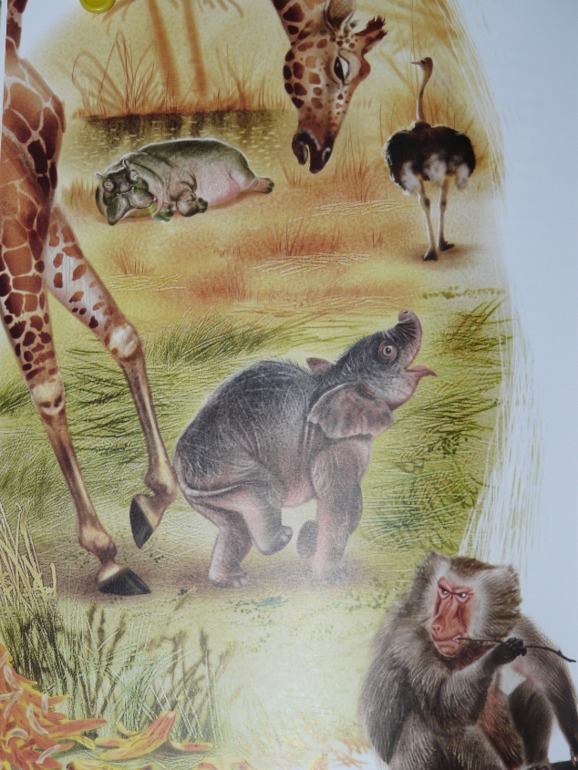 Рикки-Тикки-Тави и другие сказки.