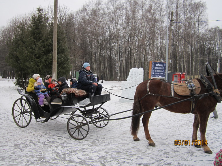 Новый год в Измайловском парке.