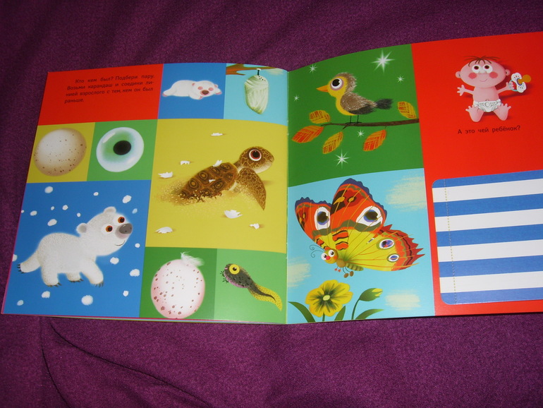 Отчет о лотереи №24