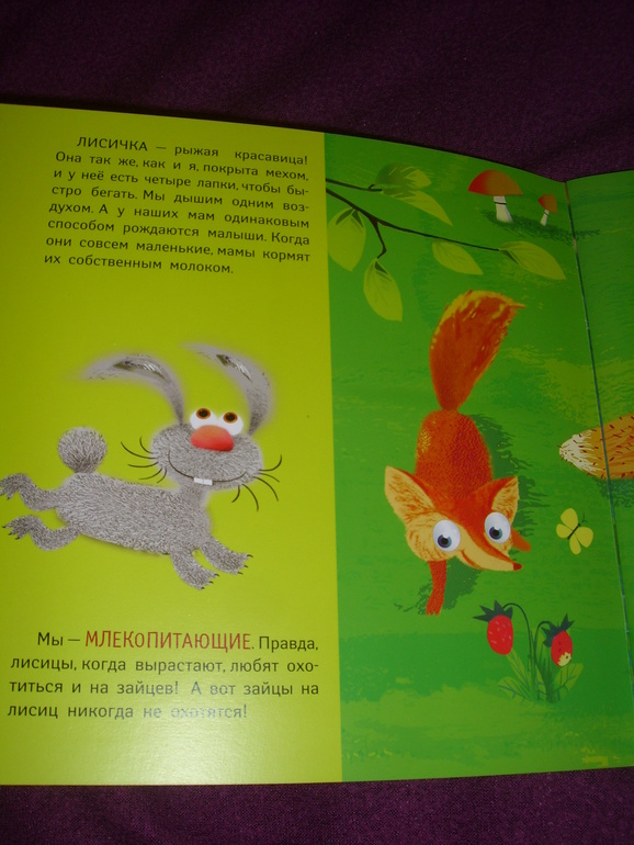 Отчет о лотереи №24