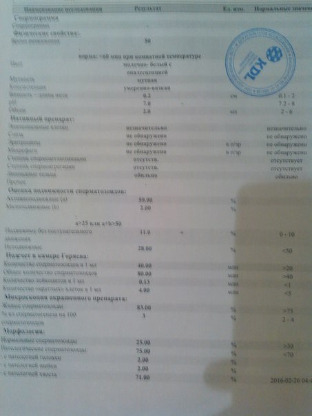 spermogramma-na-podbelskogo