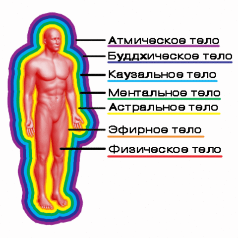Обволакивает тело Обволакивает тело