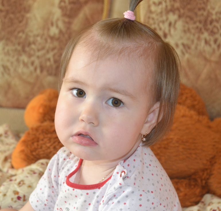 ТД "Куда спешит черепаха"