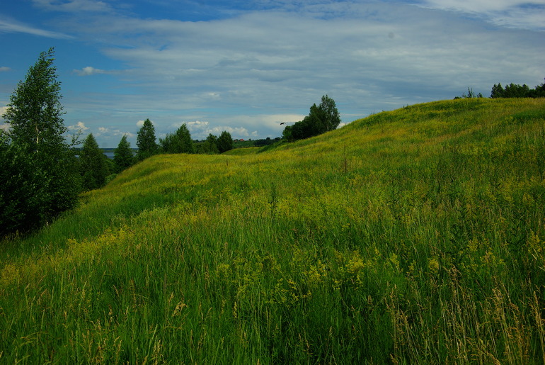 Рязанская обл, село Константиново (родина Есенина) 13.06.2014