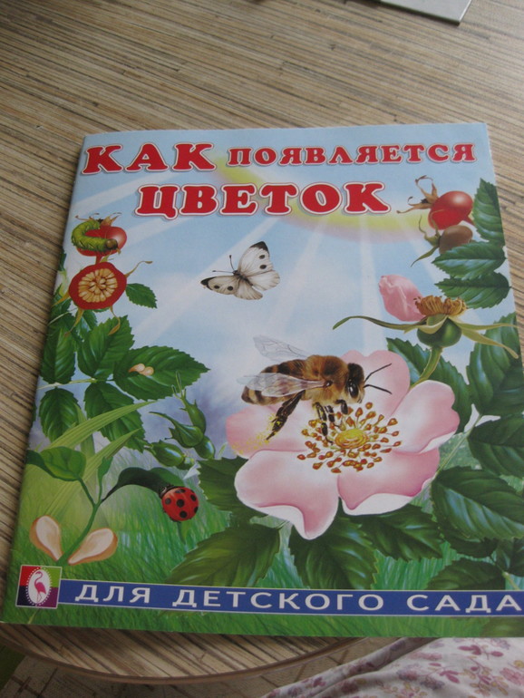 ТН "НАСЕКОМЫЕ" День 2. Трудолюбивая пчела.