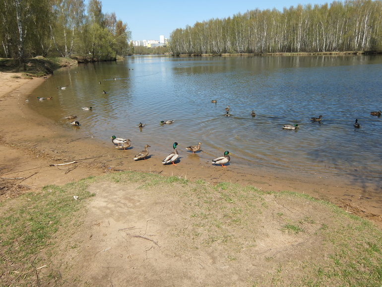 Просто прогулка