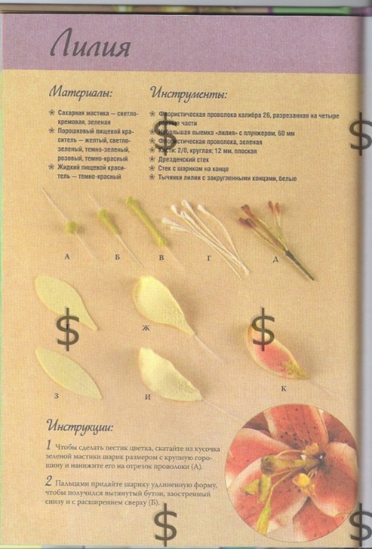 Книжечка с мк по цветам