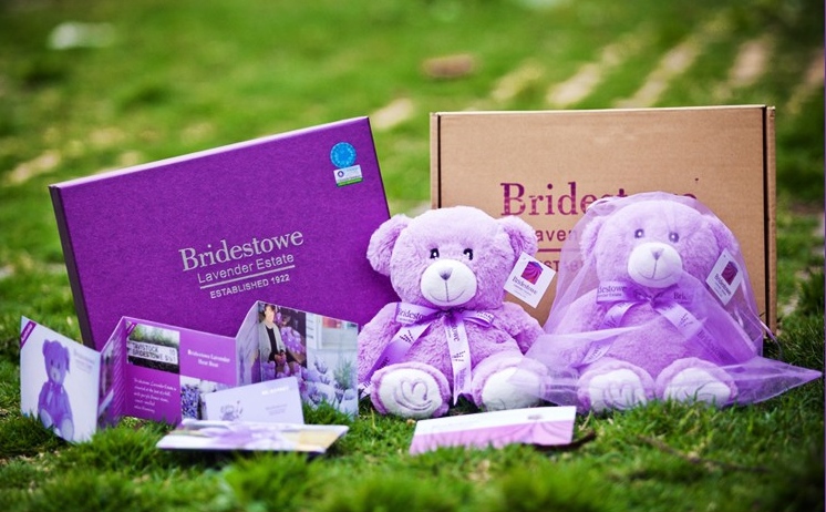 Лавандовый медведь Bridestowe из Австралии