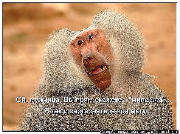 Веселые картинки увидеть не хотите ли... ;)