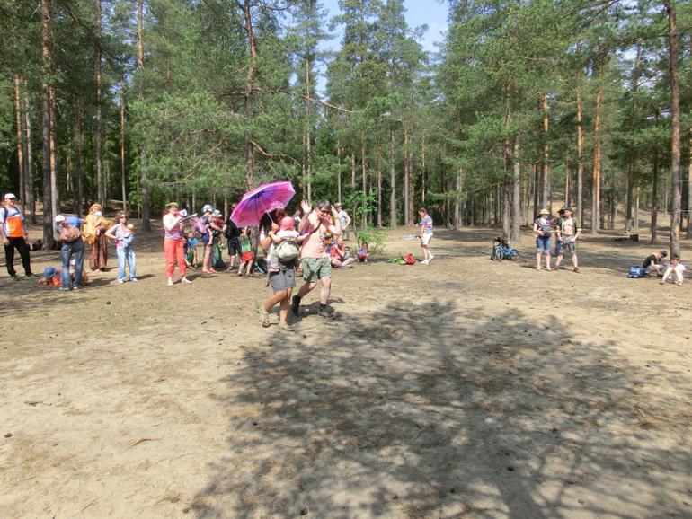 Слингорогейн 2014