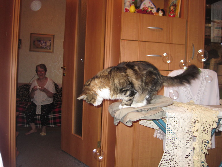 Новый год