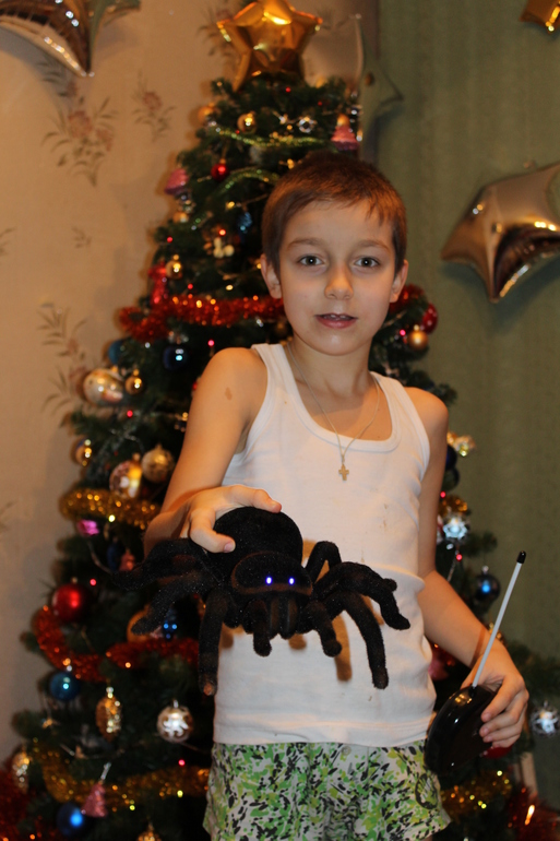Новый год 2014!