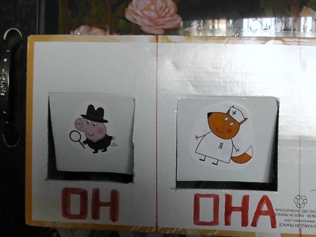 род и число