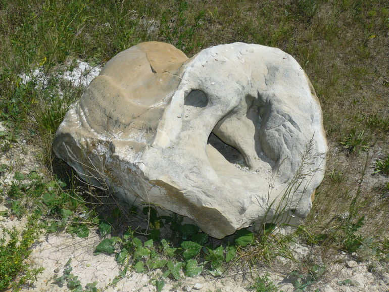 Наши 38 недель