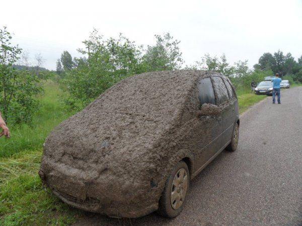 сколько на фото машин?