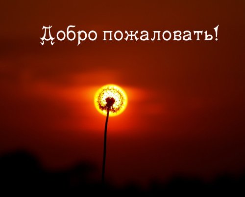 Всем рада!