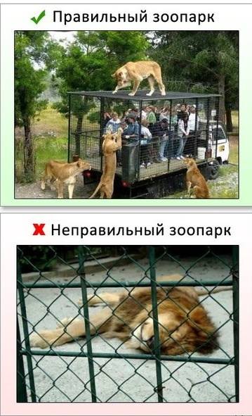 о зоопарках