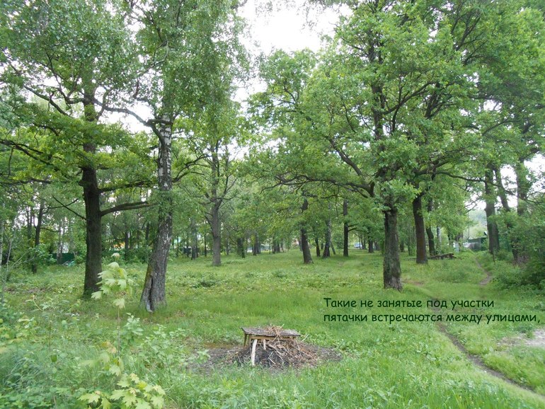 One my day in may 21. Перенесемся из зимы в весну)