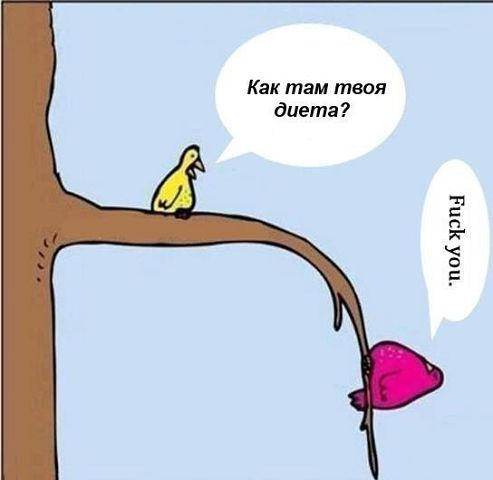 Картинки