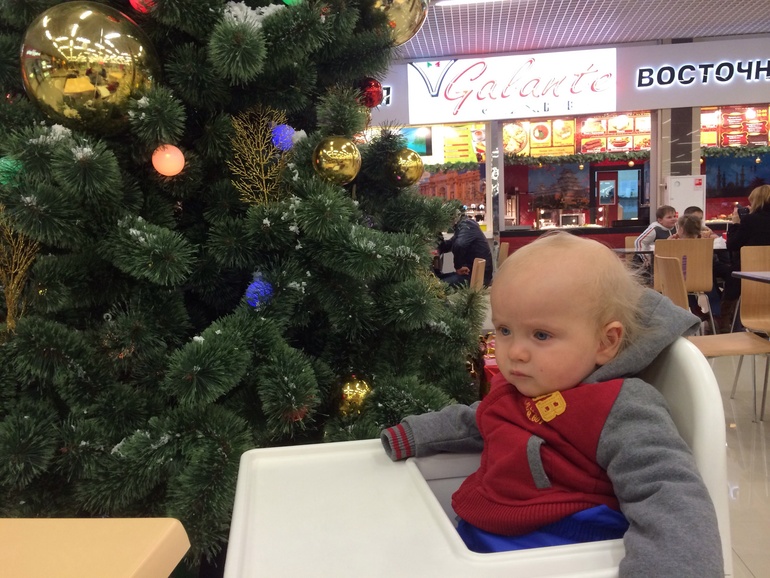 12 месяцев отчет