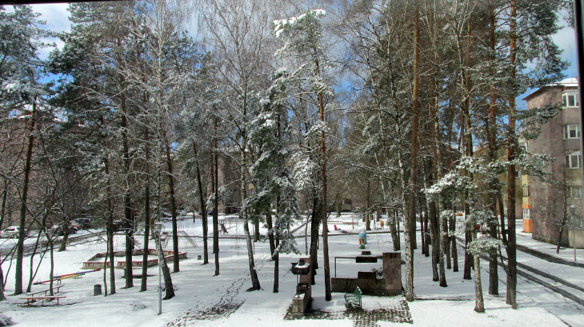 Сегодня за окном