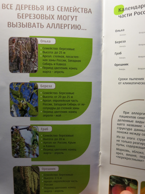 Поллиноз подтвердился.